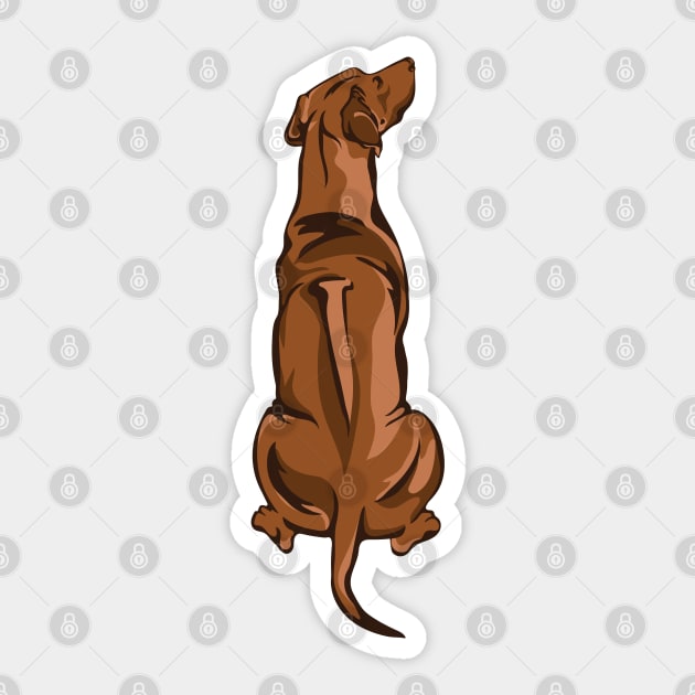 Rhodesian Ridgeback Sticker by DesignBySTARR